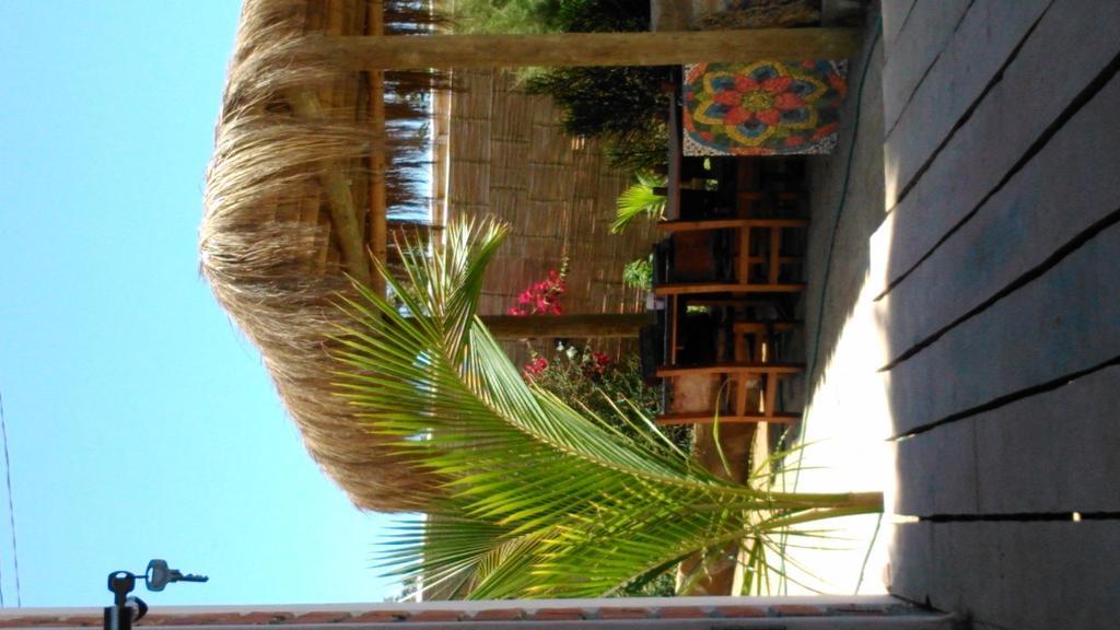 Lapa Lapa Lobitos Bungalows Hotel ภายนอก รูปภาพ