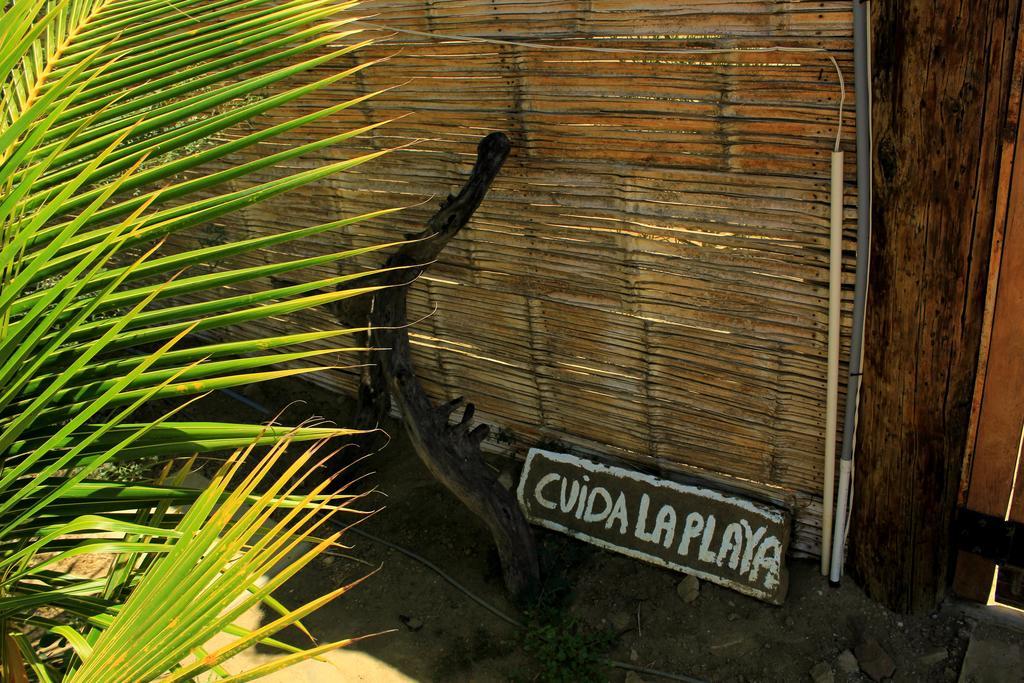 Lapa Lapa Lobitos Bungalows Hotel ภายนอก รูปภาพ