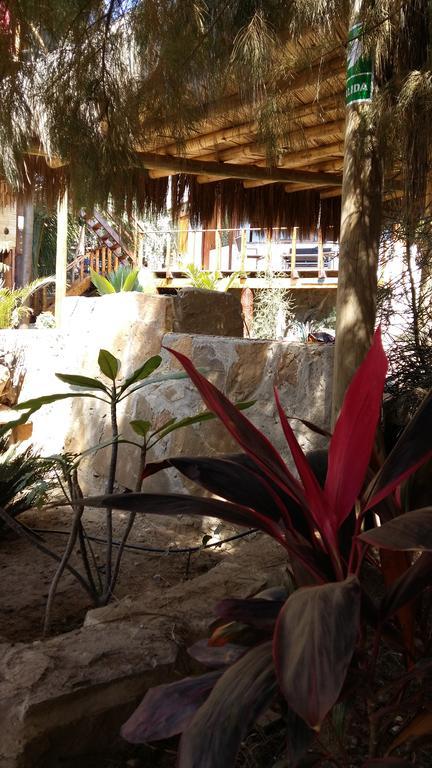 Lapa Lapa Lobitos Bungalows Hotel ภายนอก รูปภาพ