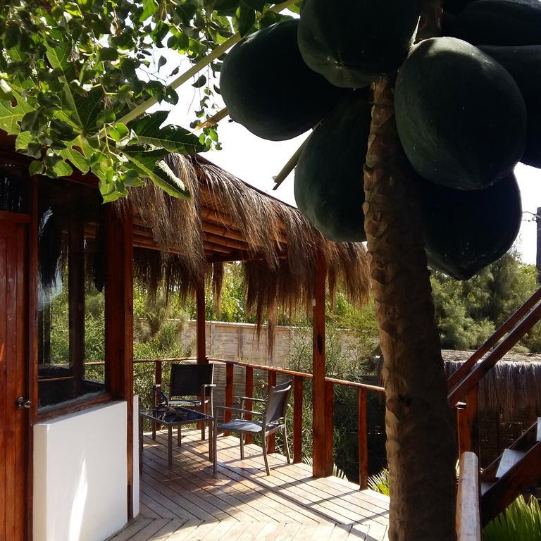Lapa Lapa Lobitos Bungalows Hotel ภายนอก รูปภาพ